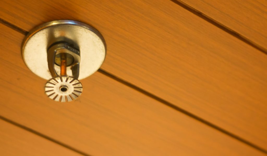 What Steps are Involved in the Fire Sprinkler System Process?